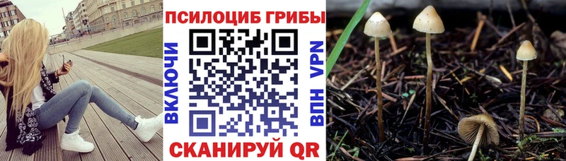 Галлюциногенные грибы Psilocybe  hydra как войти  Ленск 