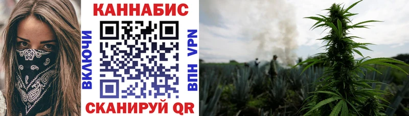 где купить наркоту  Ленск  мориарти как зайти  Канабис THC 21% 